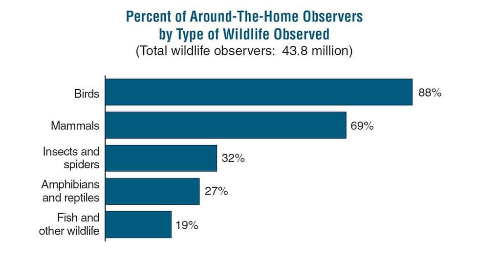 Percent of type of wildlife observed by Around The Home wildlife watches