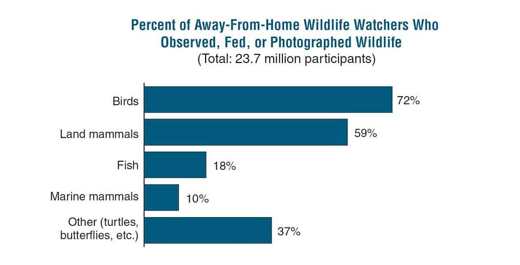 2021/12/Away-from-home-wildlife-watchers-activity.jpg
