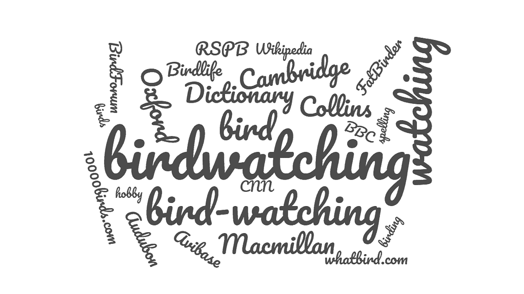 Birding word cloud