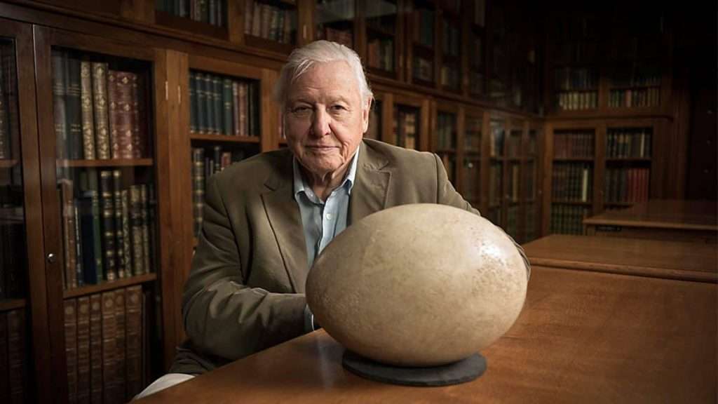 David Attenborough sits in an office with an Elephant bird egg