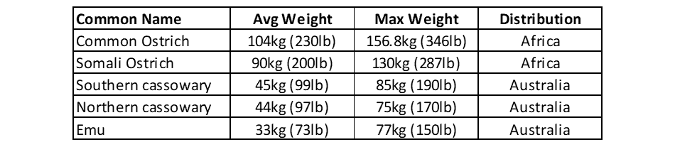 Table of weights of the heaviest birds (average weight, max weight and distribution)