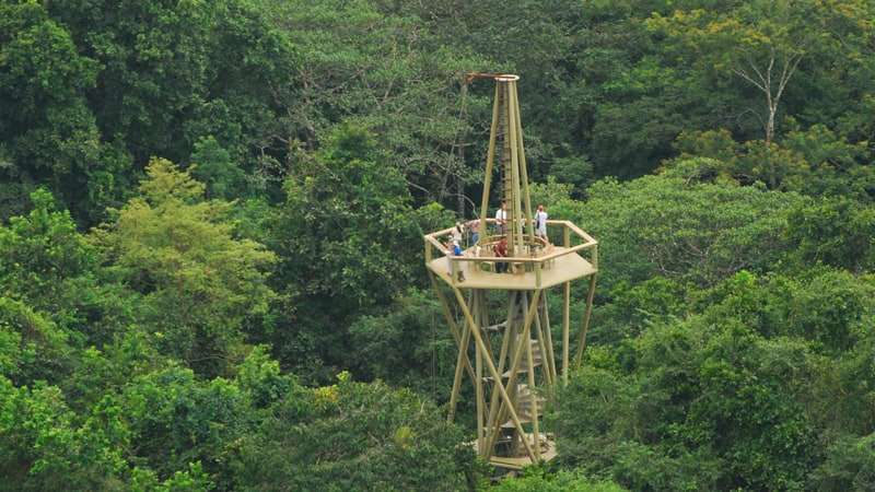 Top birding locations - Panama rainforest tower