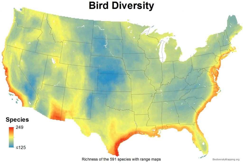 The Best US States For Birdwatching - USA bird biodiversity map