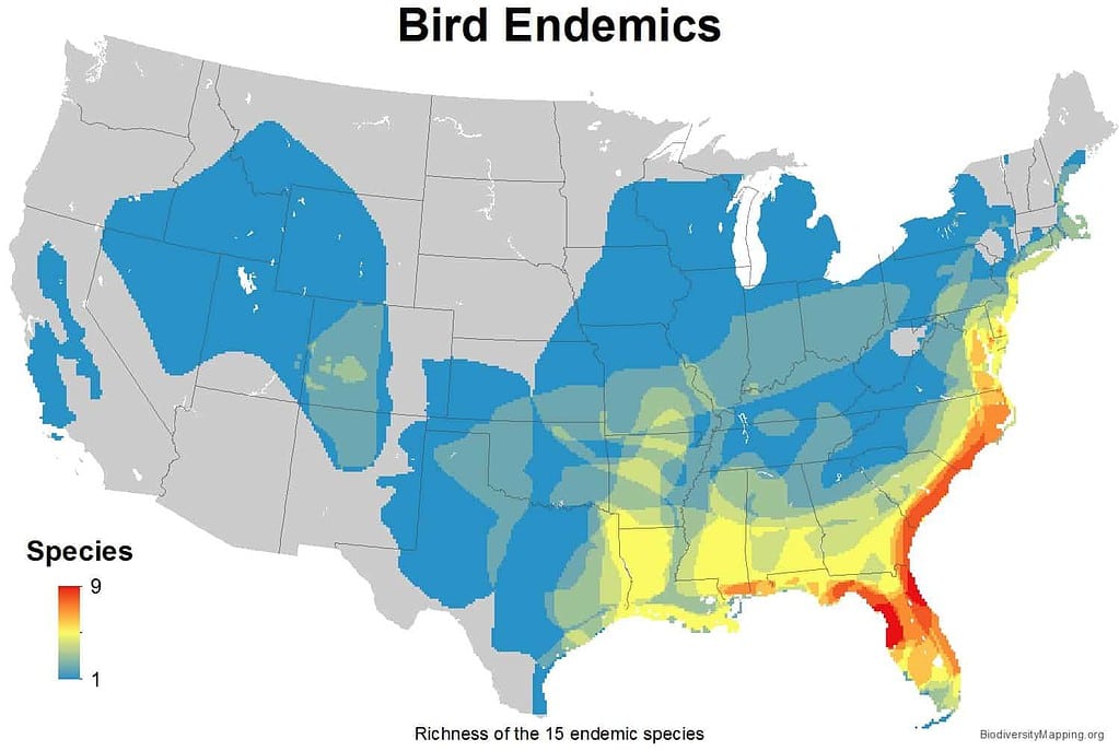 The Best US States For Birdwatching - USA bird map for endemics species